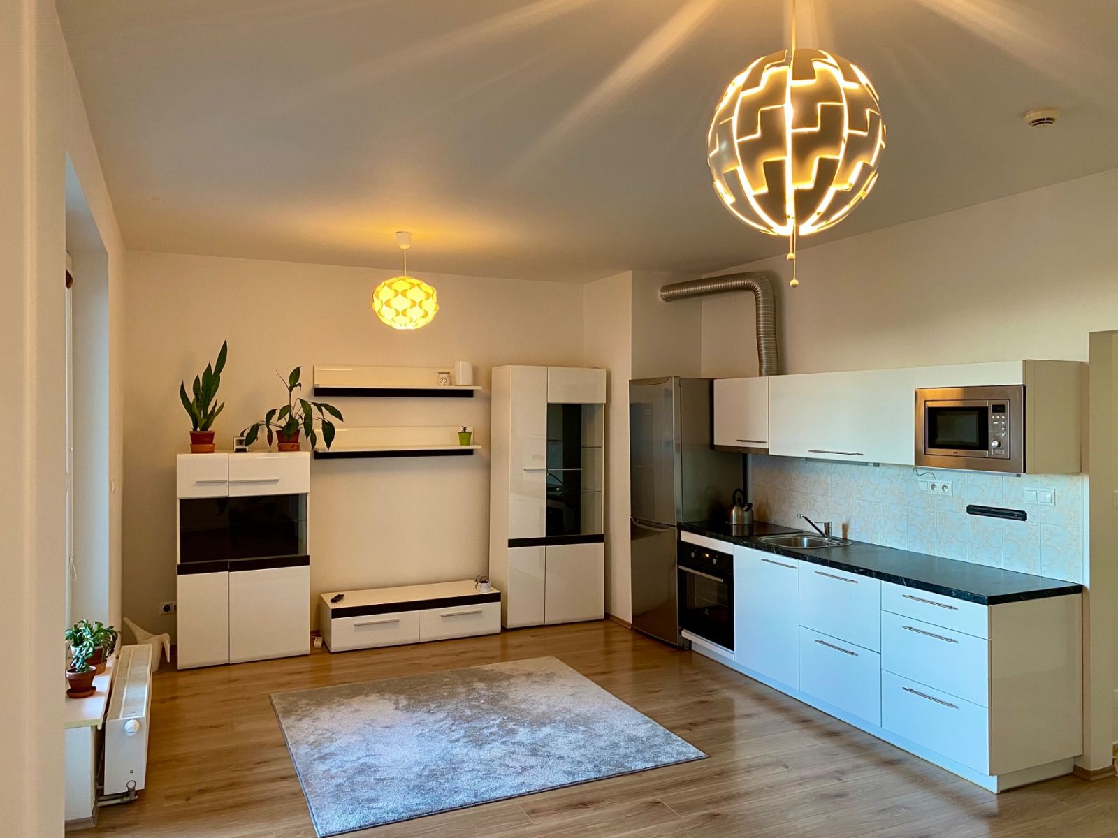 Pronájem bytu 1+kk 45 m²