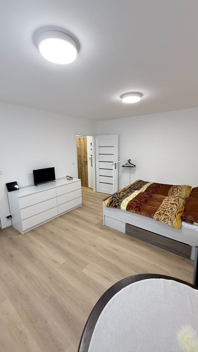 Pronájem bytu 1+kk 26 m²