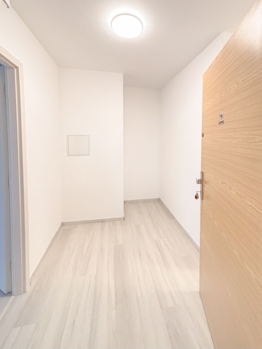 Pronájem bytu 3+kk 71 m² – Praha