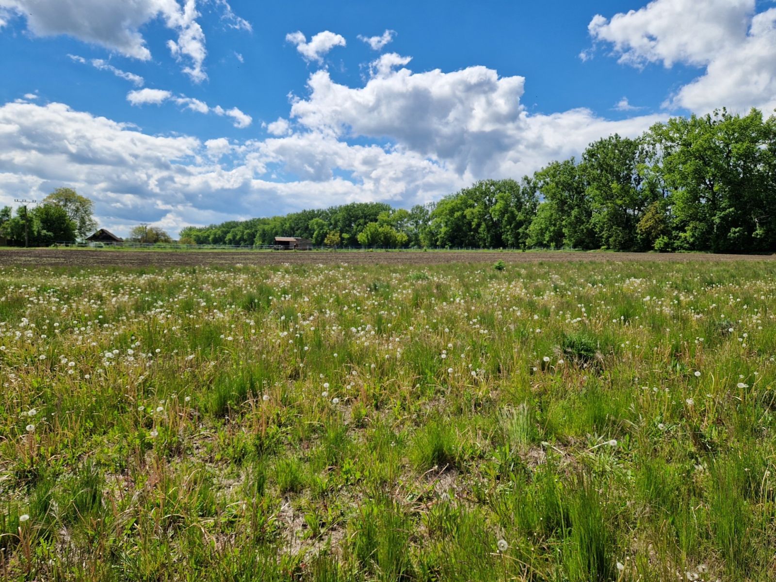 Prodej pozemku 800 m² — photo 3