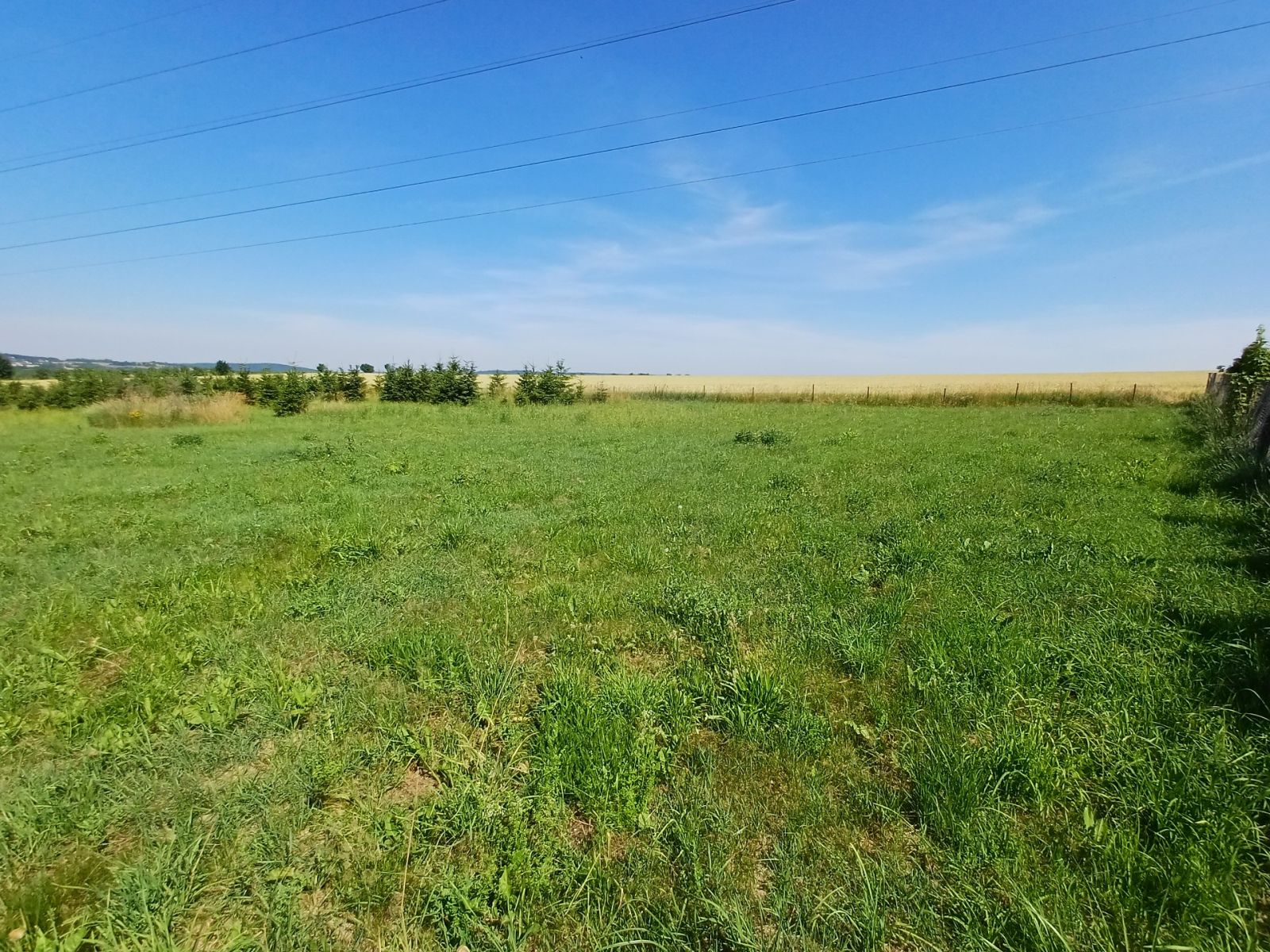 Prodej pozemku 1.968 m² — photo 3