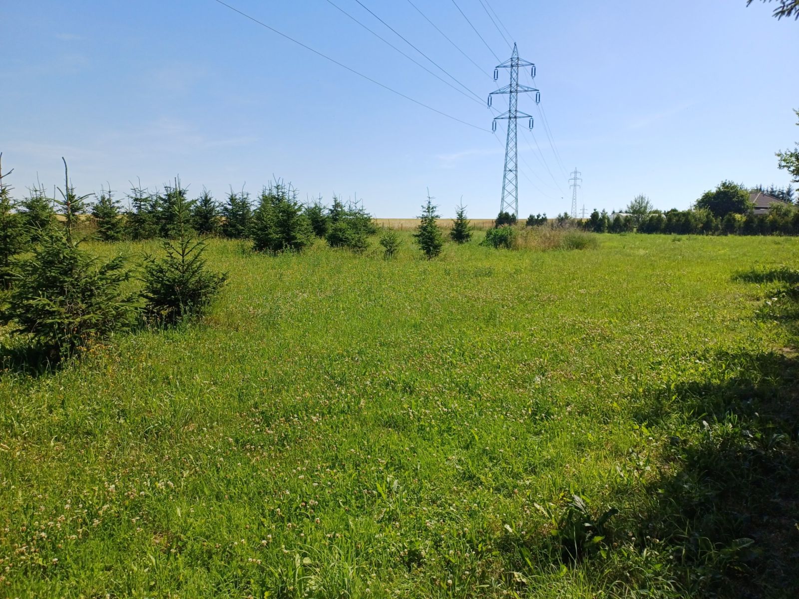 Prodej pozemku 1.968 m² — photo 4