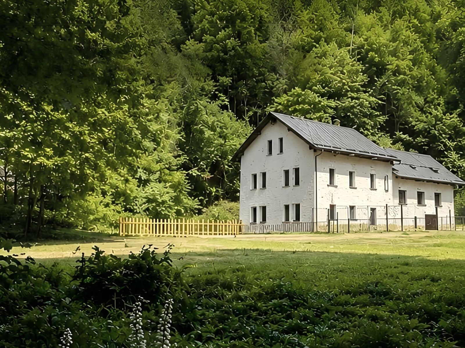 Pronájem objektu, Osečnice – náhled fotky 2