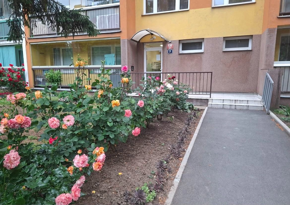 Prodej bytu 3+kk 60 m², Praha – náhled fotky 8