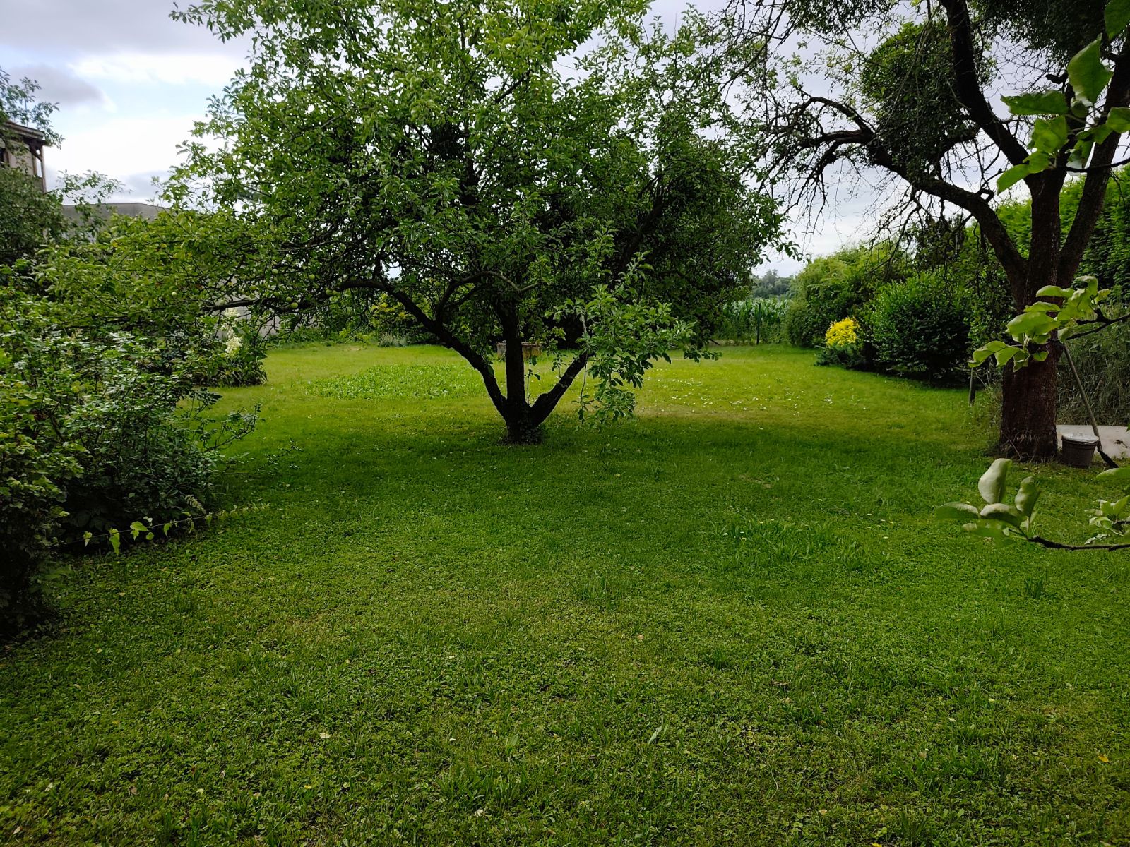 Prodej pozemku 833 m² — photo 2