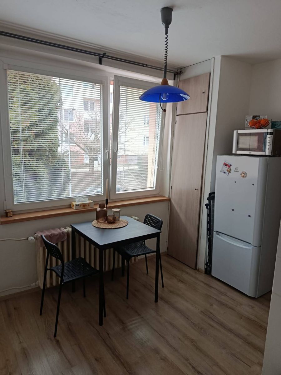 Pronájem bytu 1+1 42 m² — photo 3