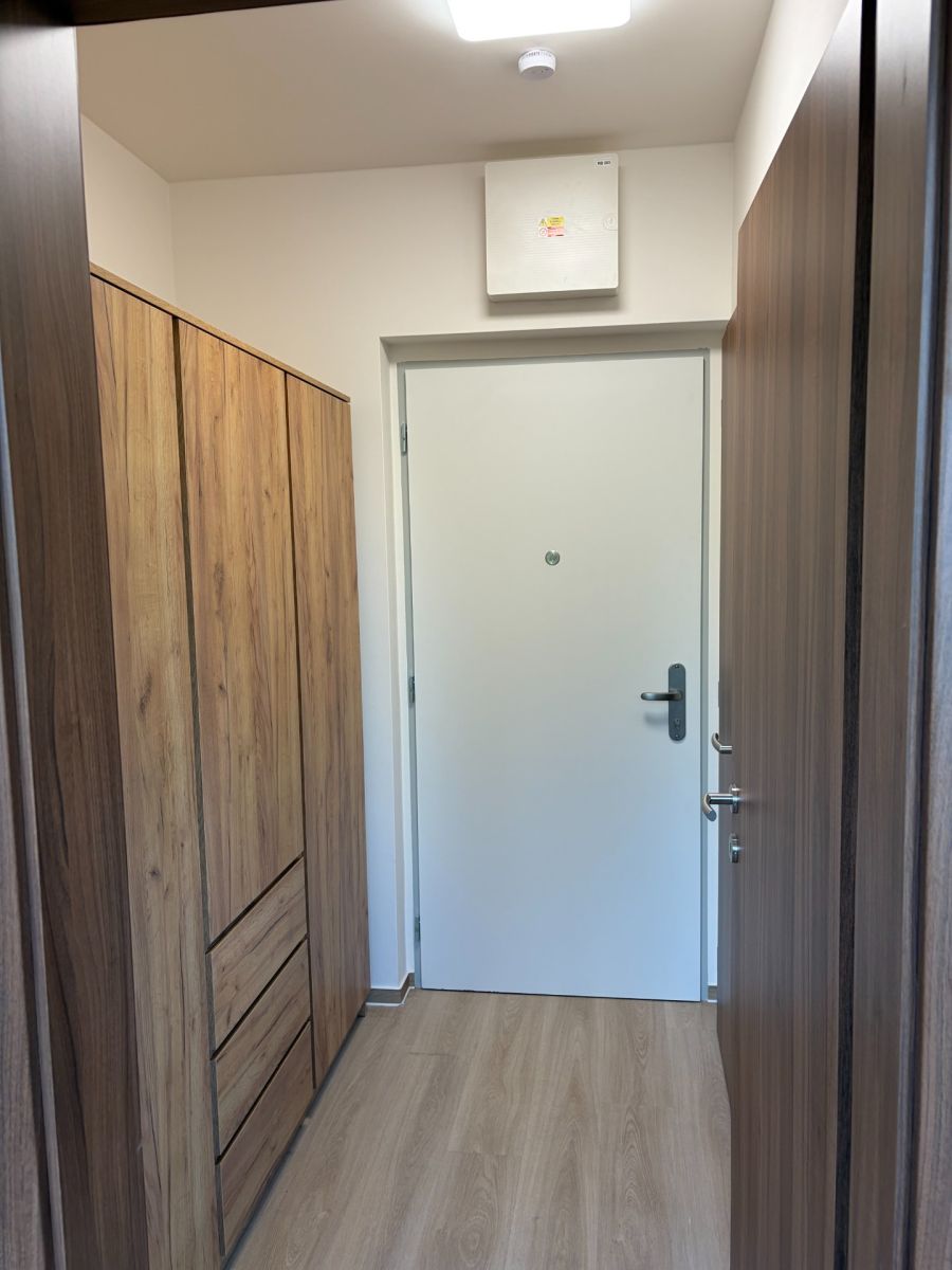 Pronájem bytu 1+kk 35 m² — photo 3