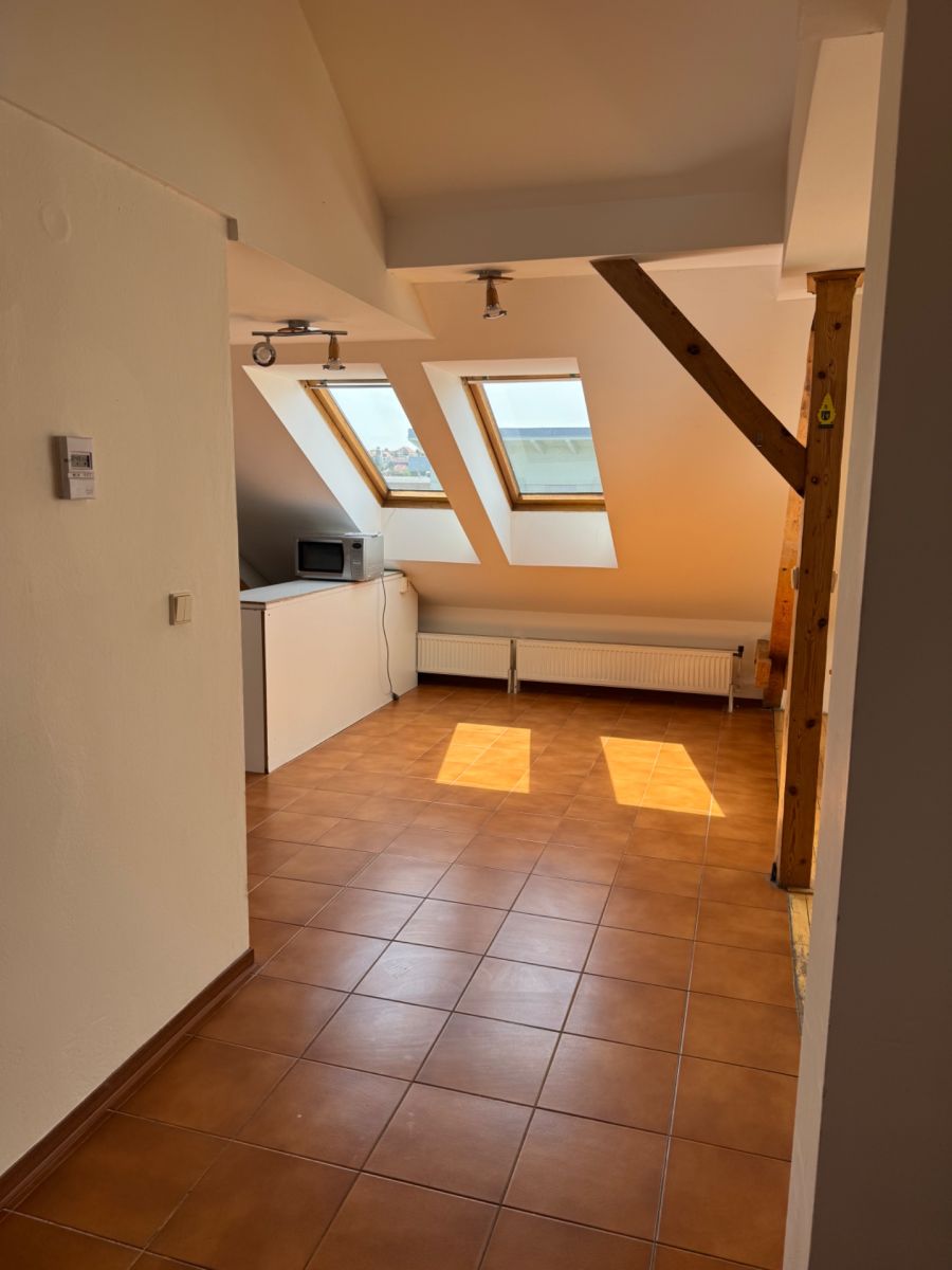Pronájem bytu 3+kk 127 m² — photo 3