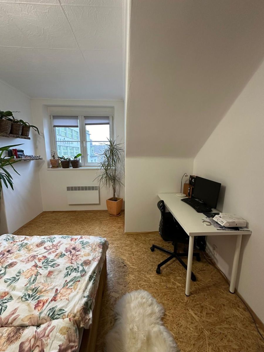 Pronájem bytu 1+1 42 m² — photo 4