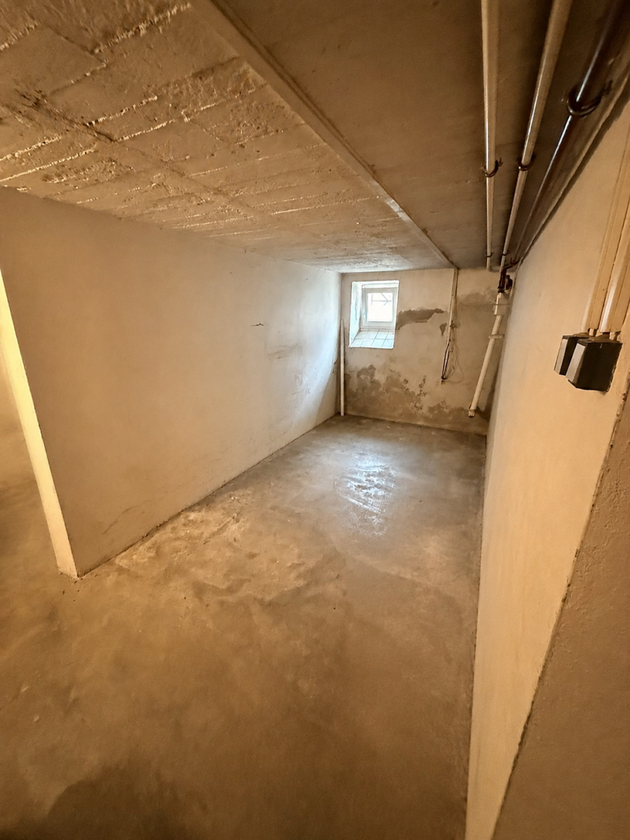 Prodej nebytového prostoru 60 m² — photo 2