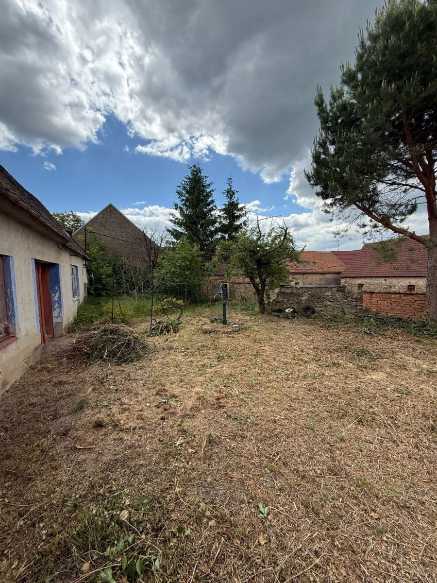 Prodej domu 900 m², pozemek 2.000 m² — photo 3