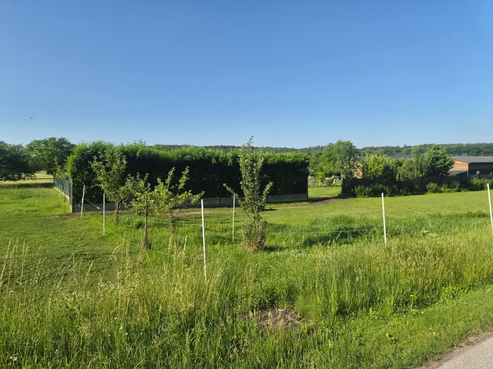 Prodej pozemku 1.277 m² — photo 4