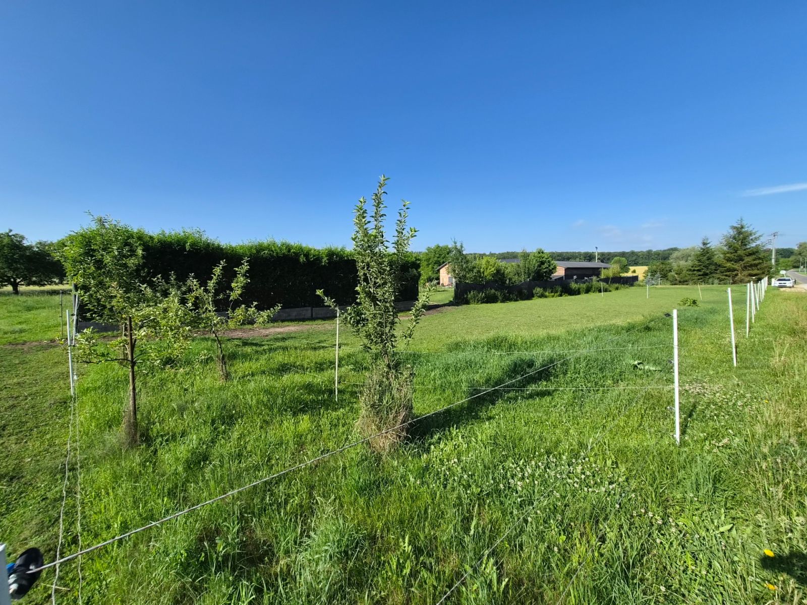 Prodej pozemku 1.277 m² — photo 5