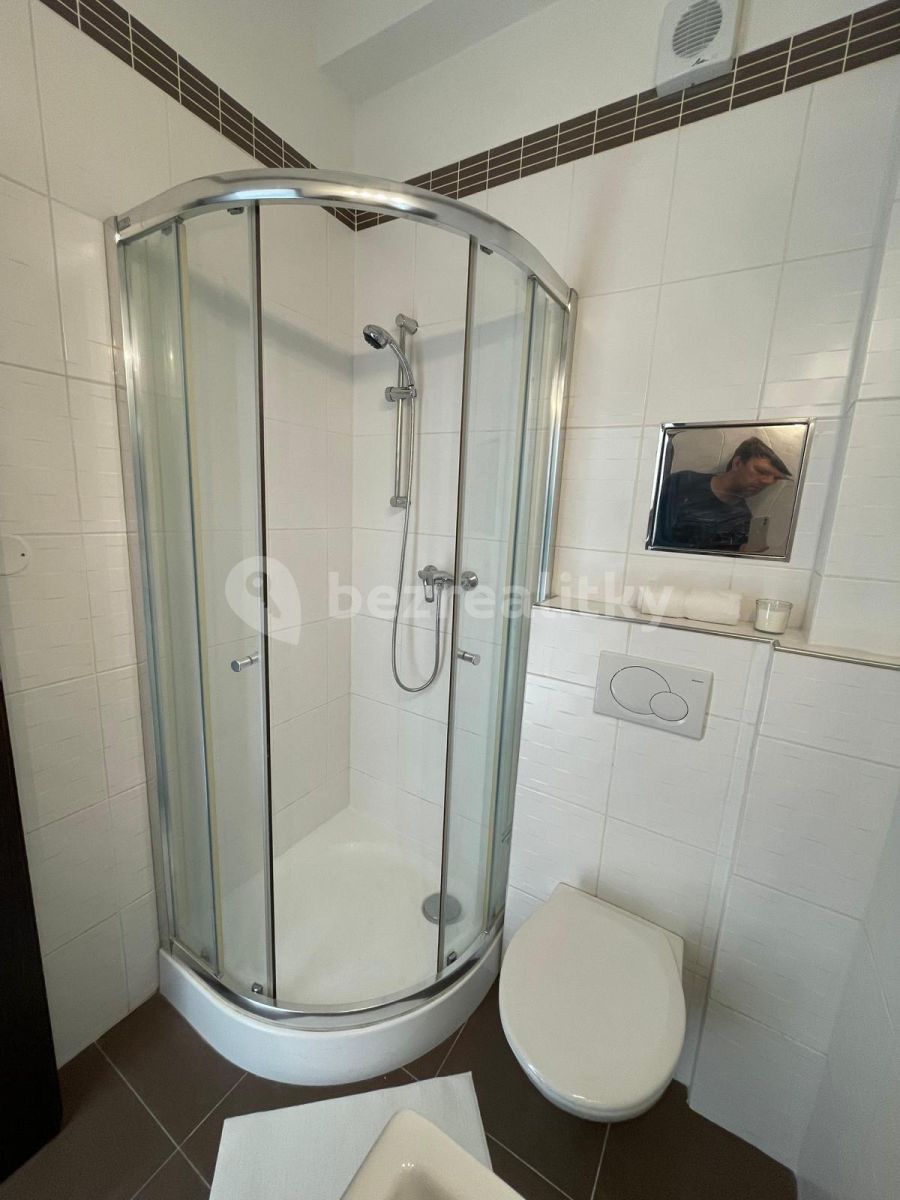 Pronájem bytu 1+kk 18 m² — photo 3