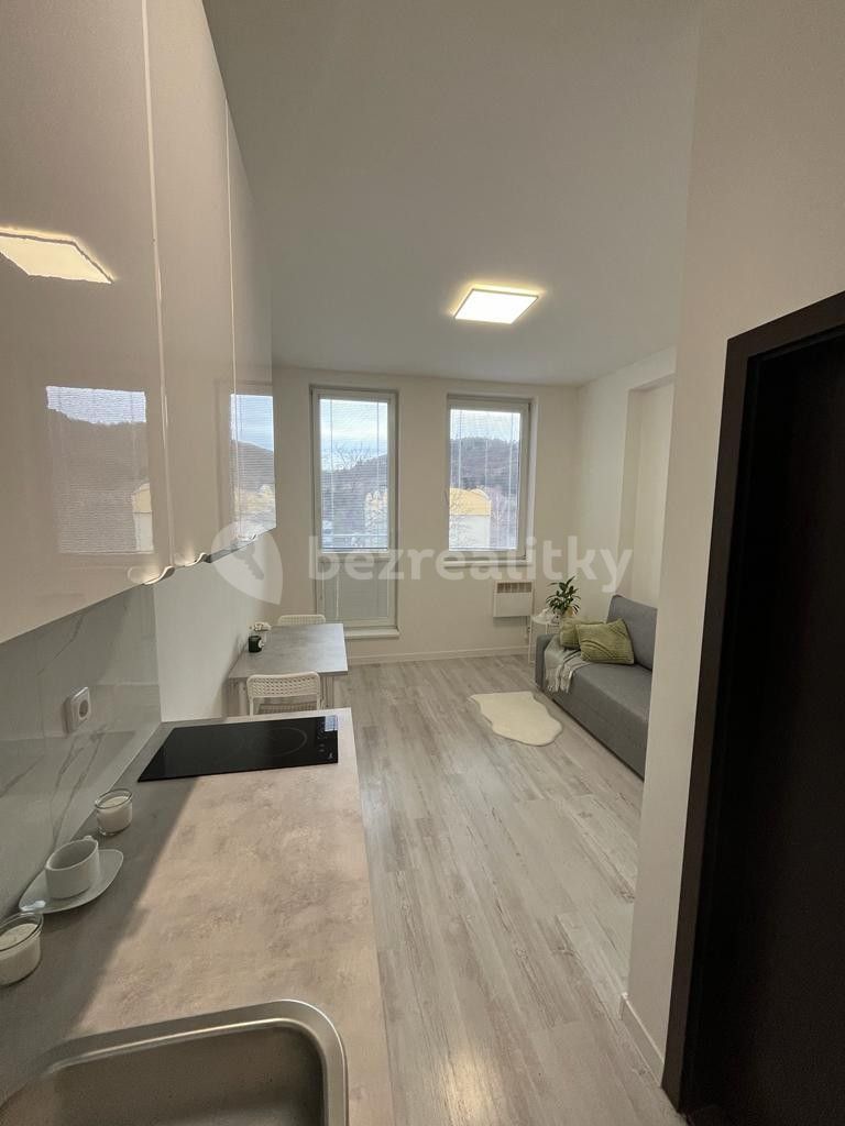 Pronájem bytu 1+kk 18 m² — photo 4