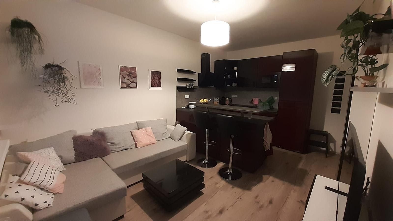 Pronájem bytu 2+kk 34 m²