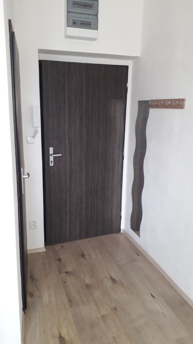 Pronájem bytu Garsoniéra 20 m² — photo 3