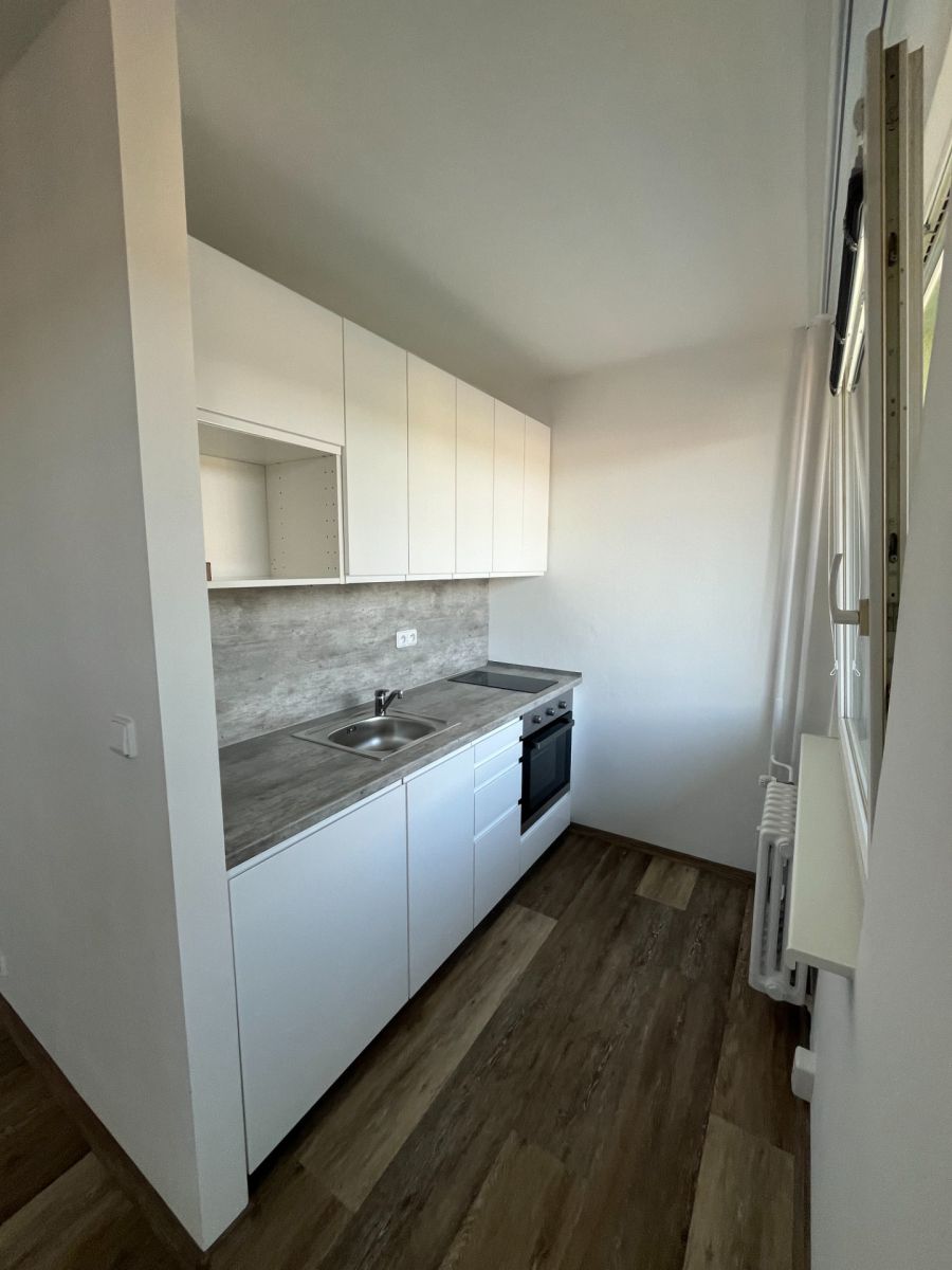 Pronájem bytu 1+1 38 m²