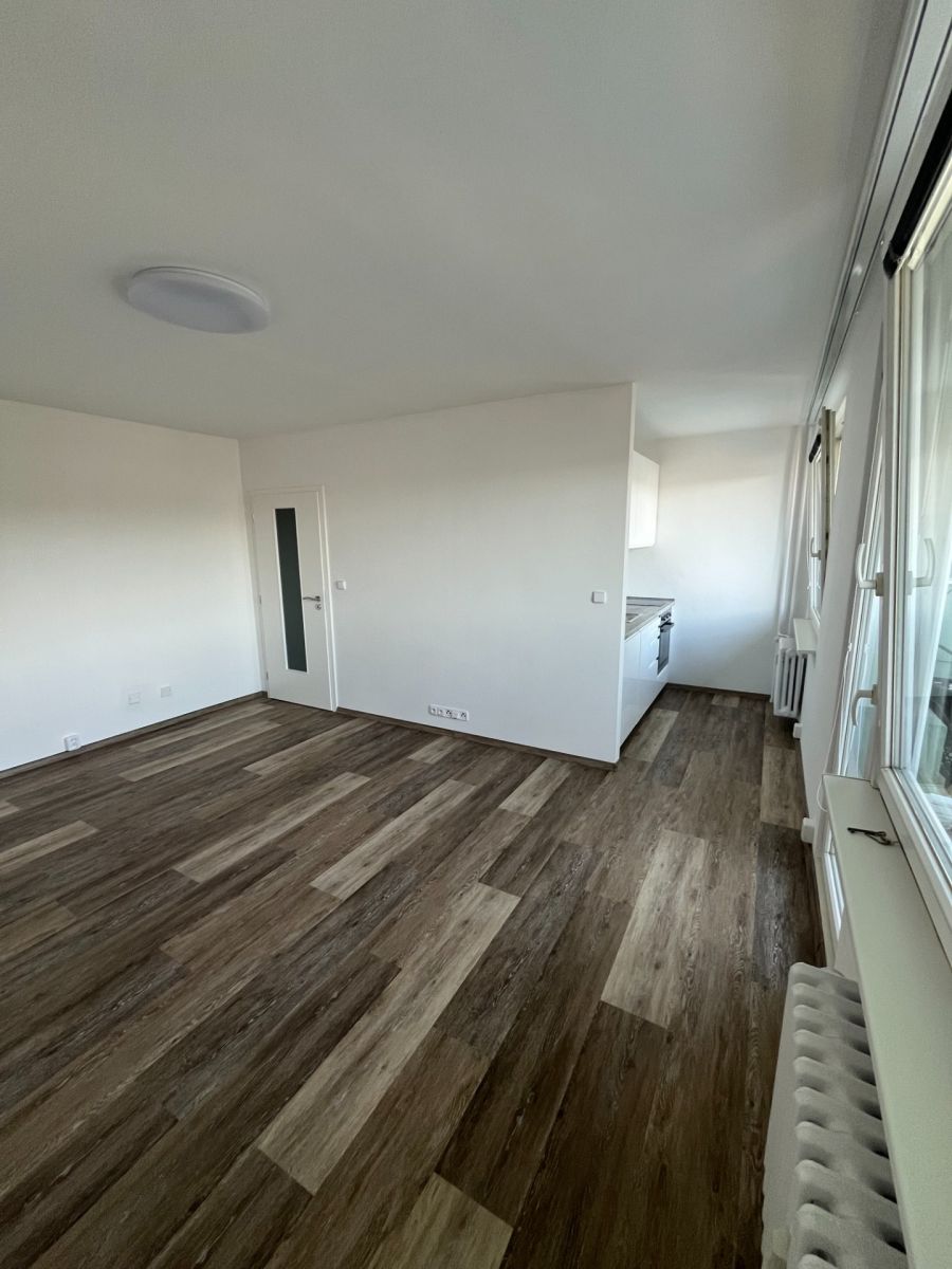 Pronájem bytu 1+1 38 m² — photo 2