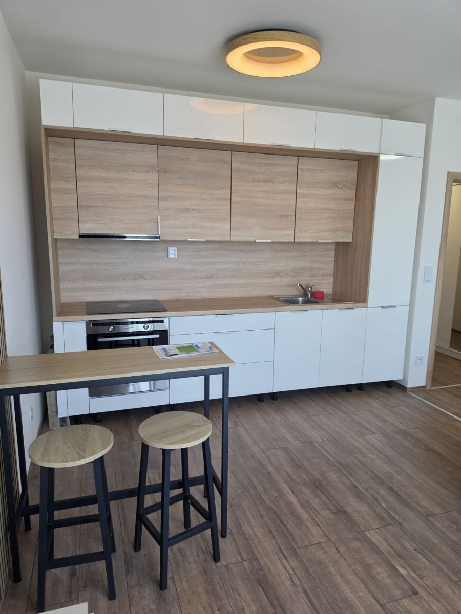 Pronájem bytu 1+kk 32 m² — photo 3