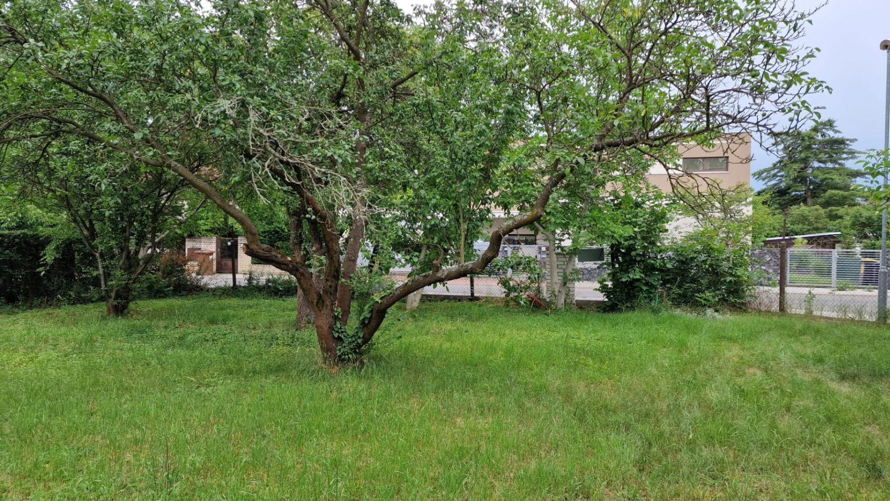 Prodej pozemku 672 m² — photo 4