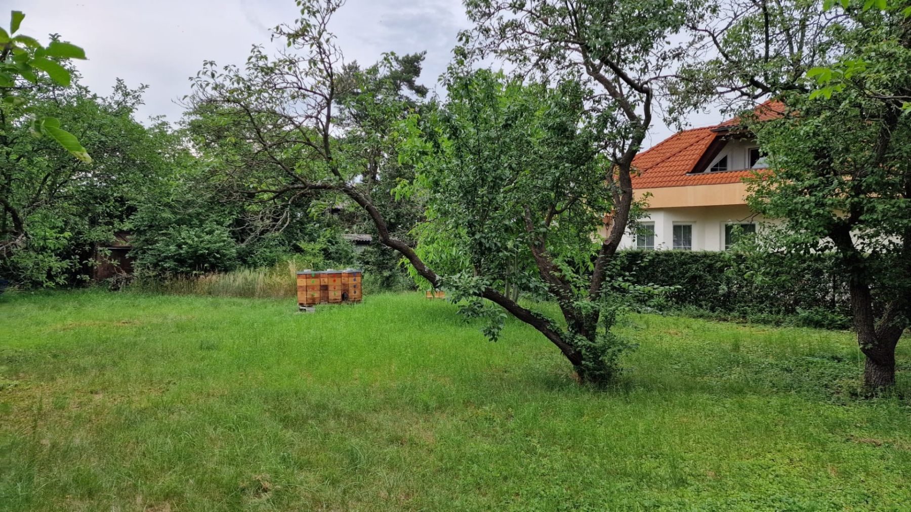 Prodej pozemku 672 m² — photo 5