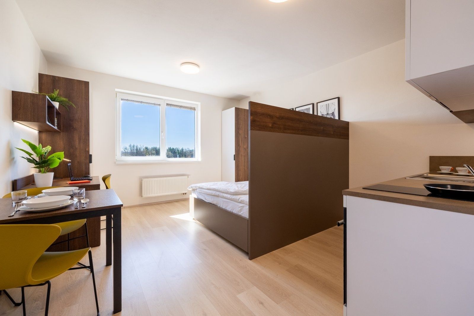 Pronájem bytu 1+kk 27 m² - Widok 3