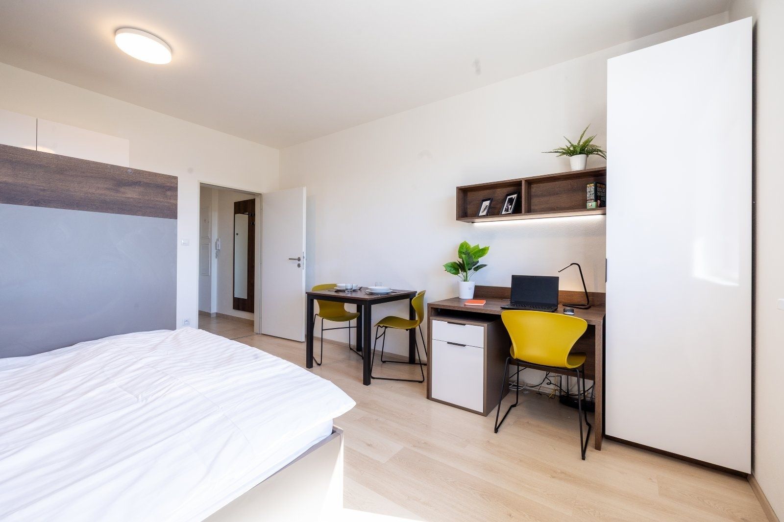 Pronájem bytu 1+kk 27 m² - Widok 4