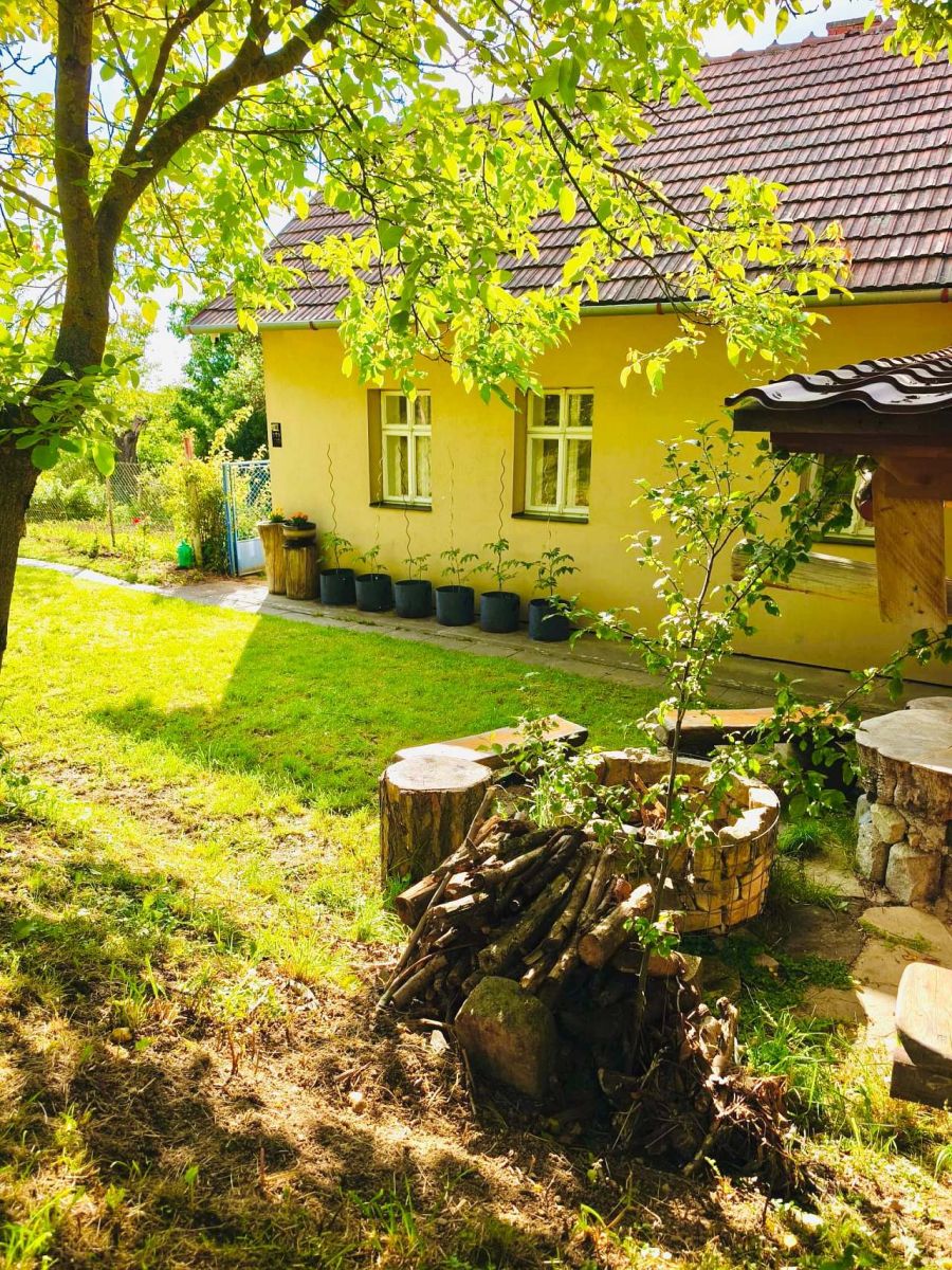 — photo 2