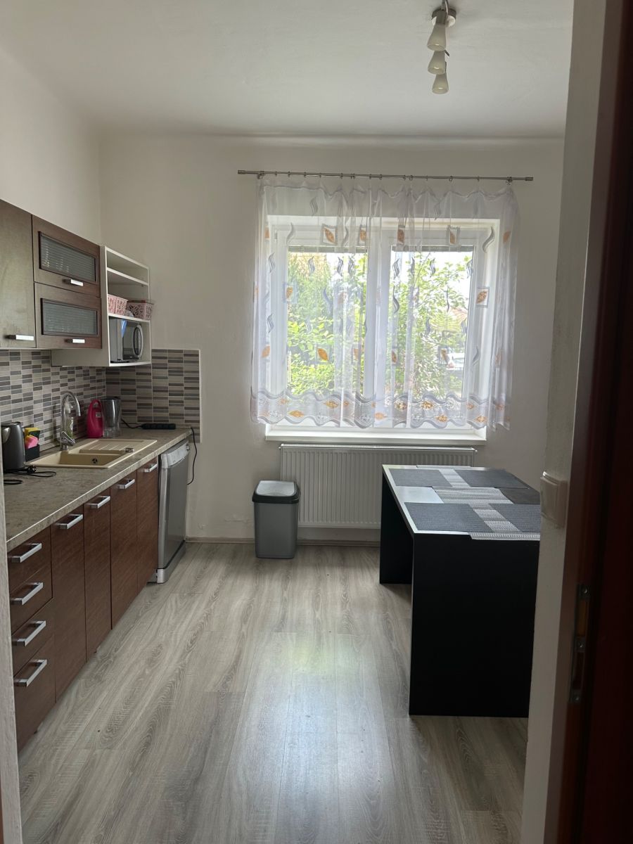 Pronájem bytu 1+1 48 m² — photo 4