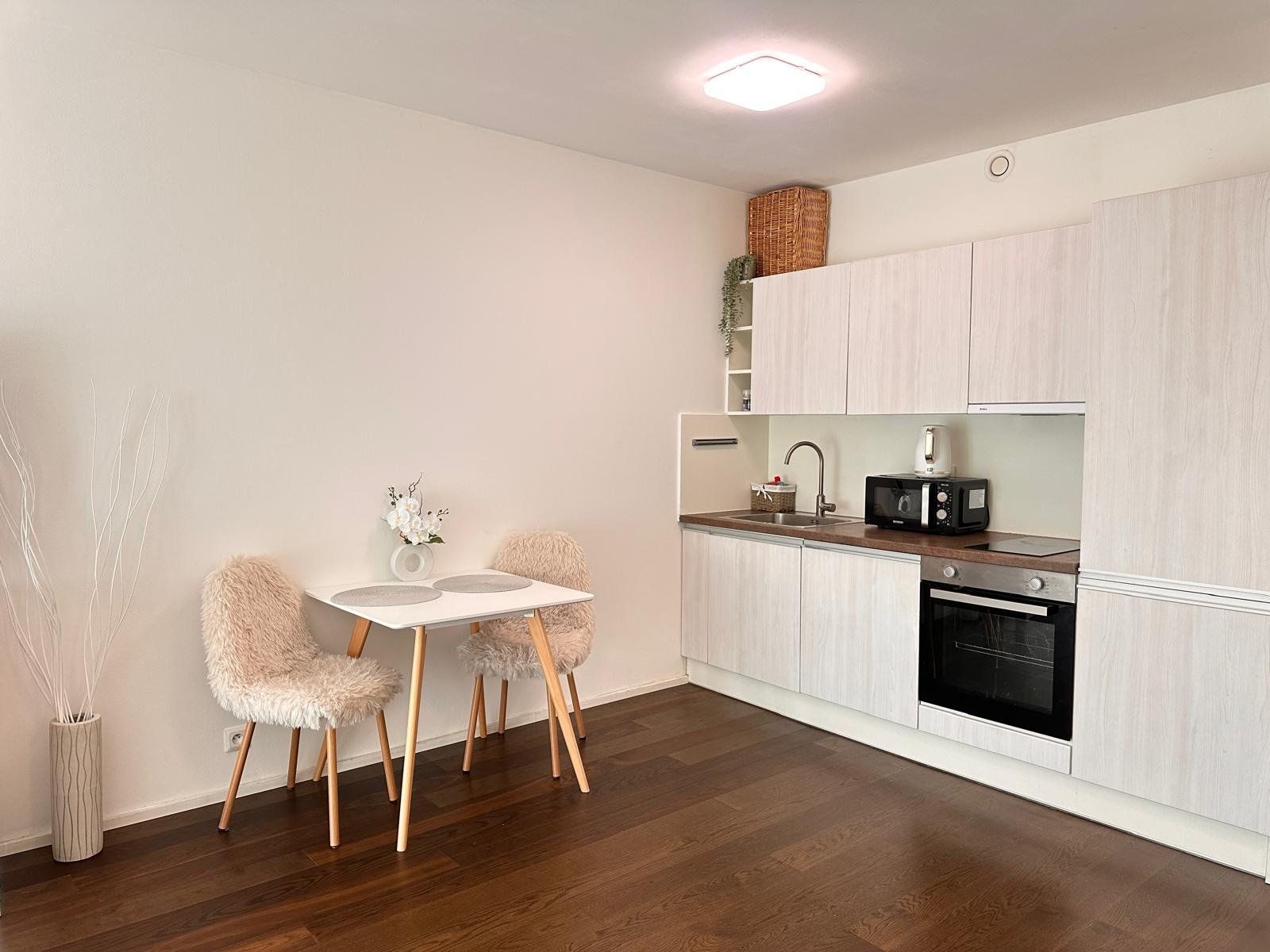 Pronájem bytu  42 m² — photo 4