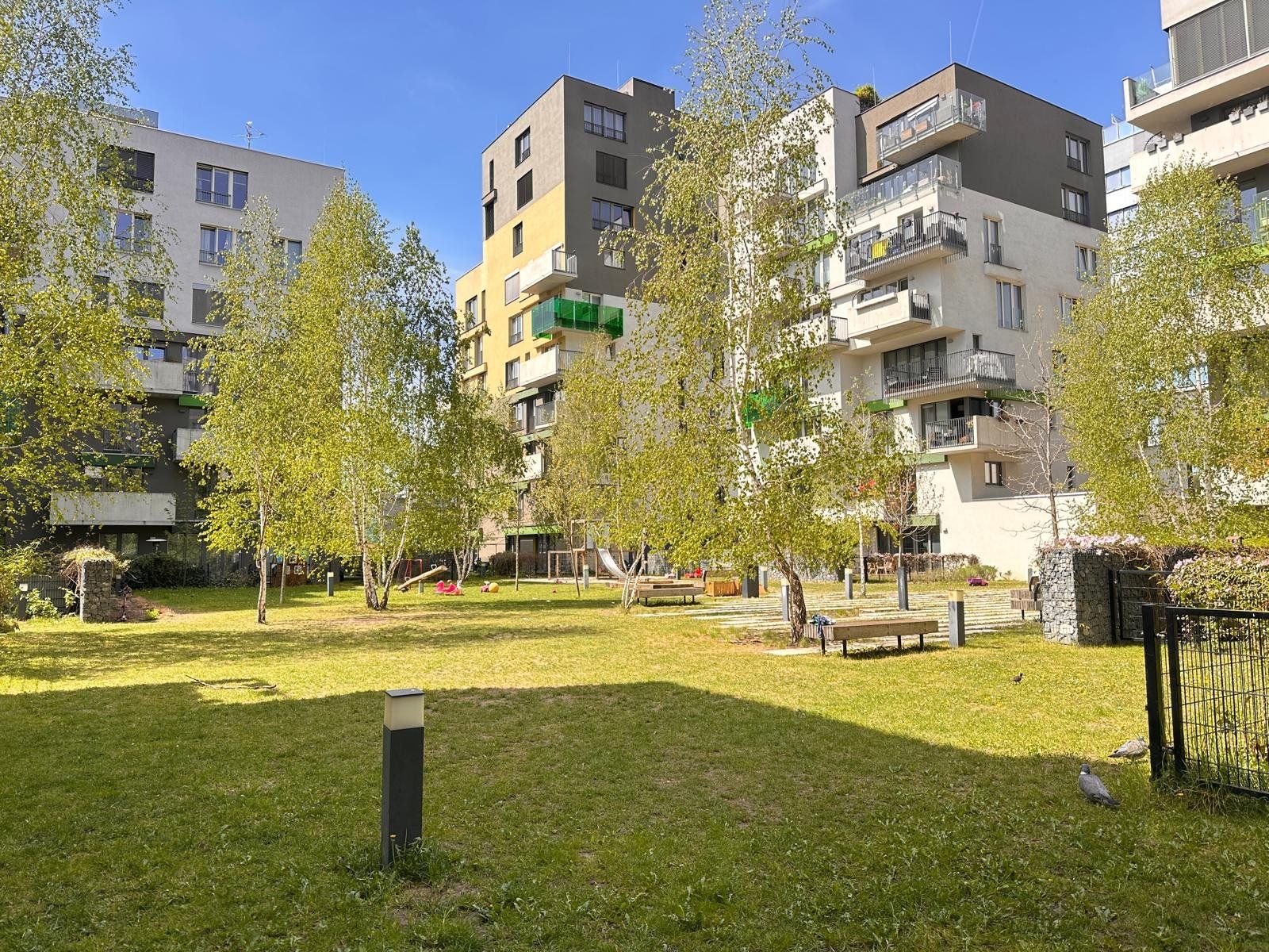 Pronájem bytu  42 m² — photo 3