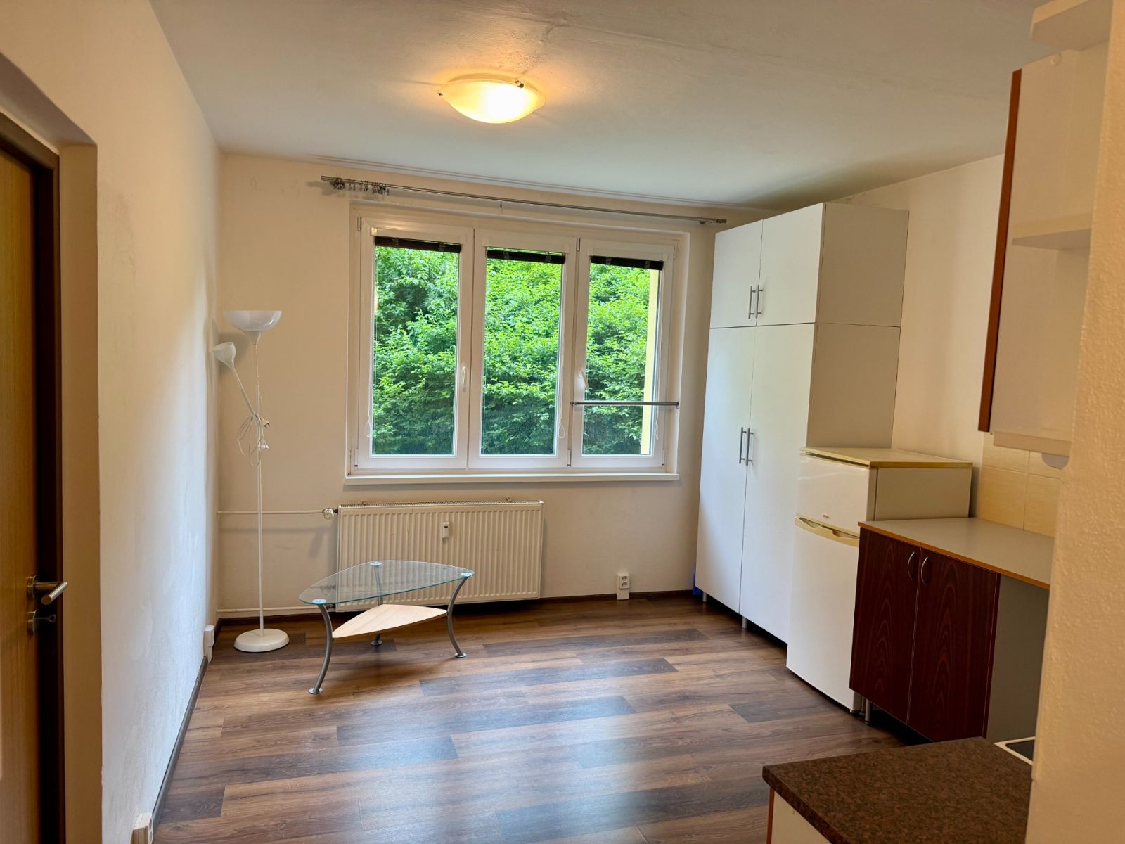 Pronájem bytu 1+1 38 m² — photo 2