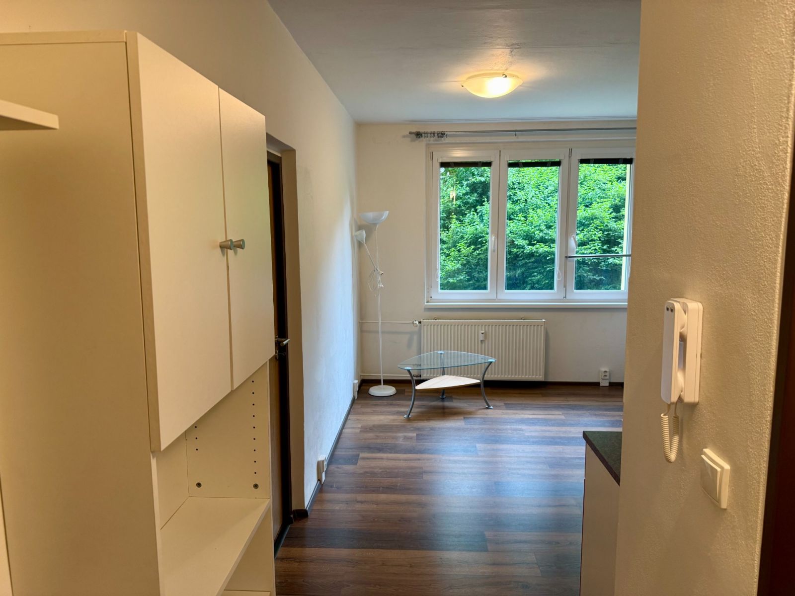 Pronájem bytu 1+1 38 m² — photo 3