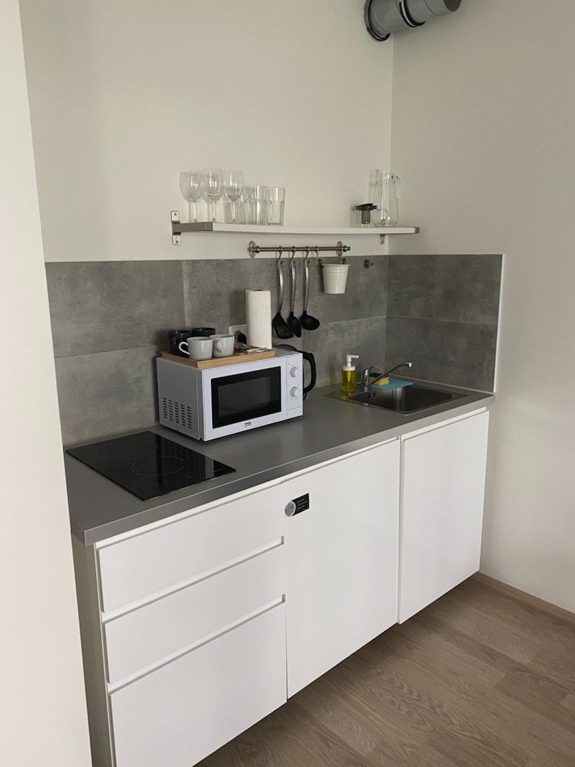 Pronájem bytu 1+kk 45 m² — photo 2