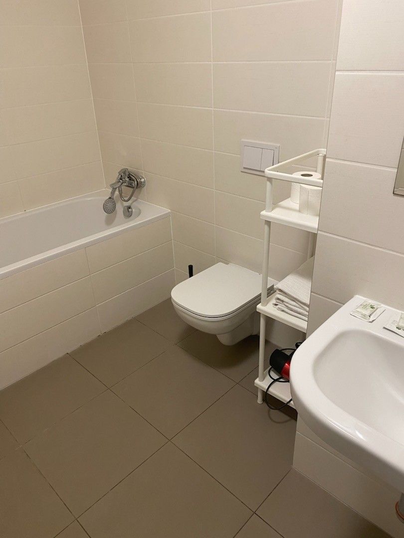 Pronájem bytu 1+kk 45 m² — photo 3