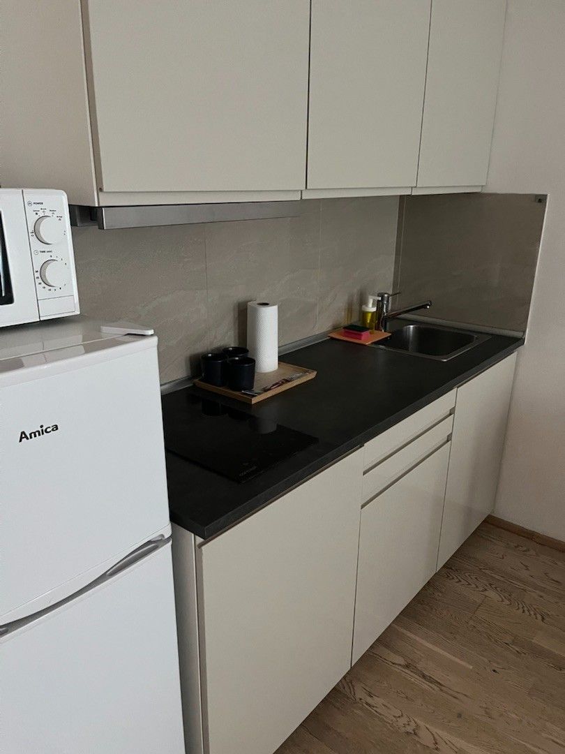 Pronájem bytu 1+kk 35 m² — photo 5