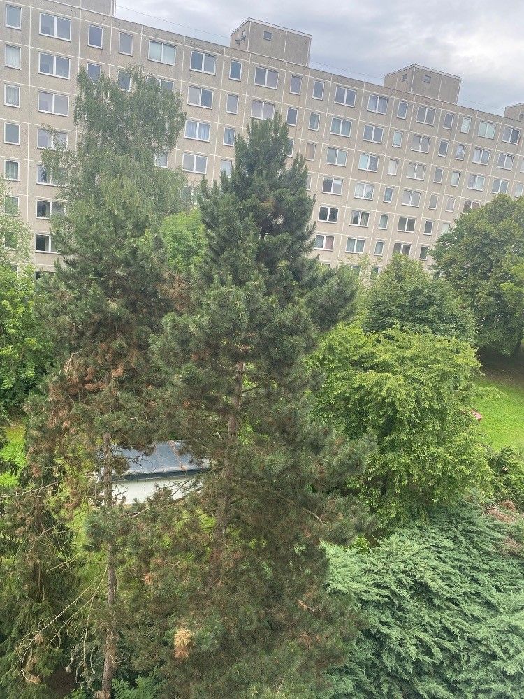 Prodej bytu 1+kk 32 m² — photo 2