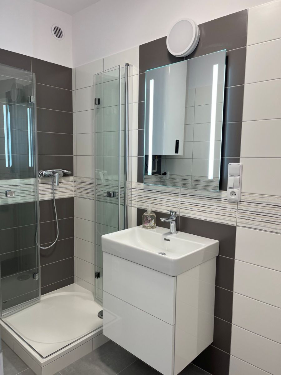 Pronájem bytu 2+1 50 m² — photo 3