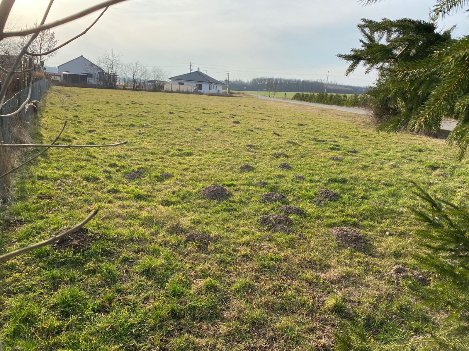 Prodej pozemku 1.700 m² — photo 4