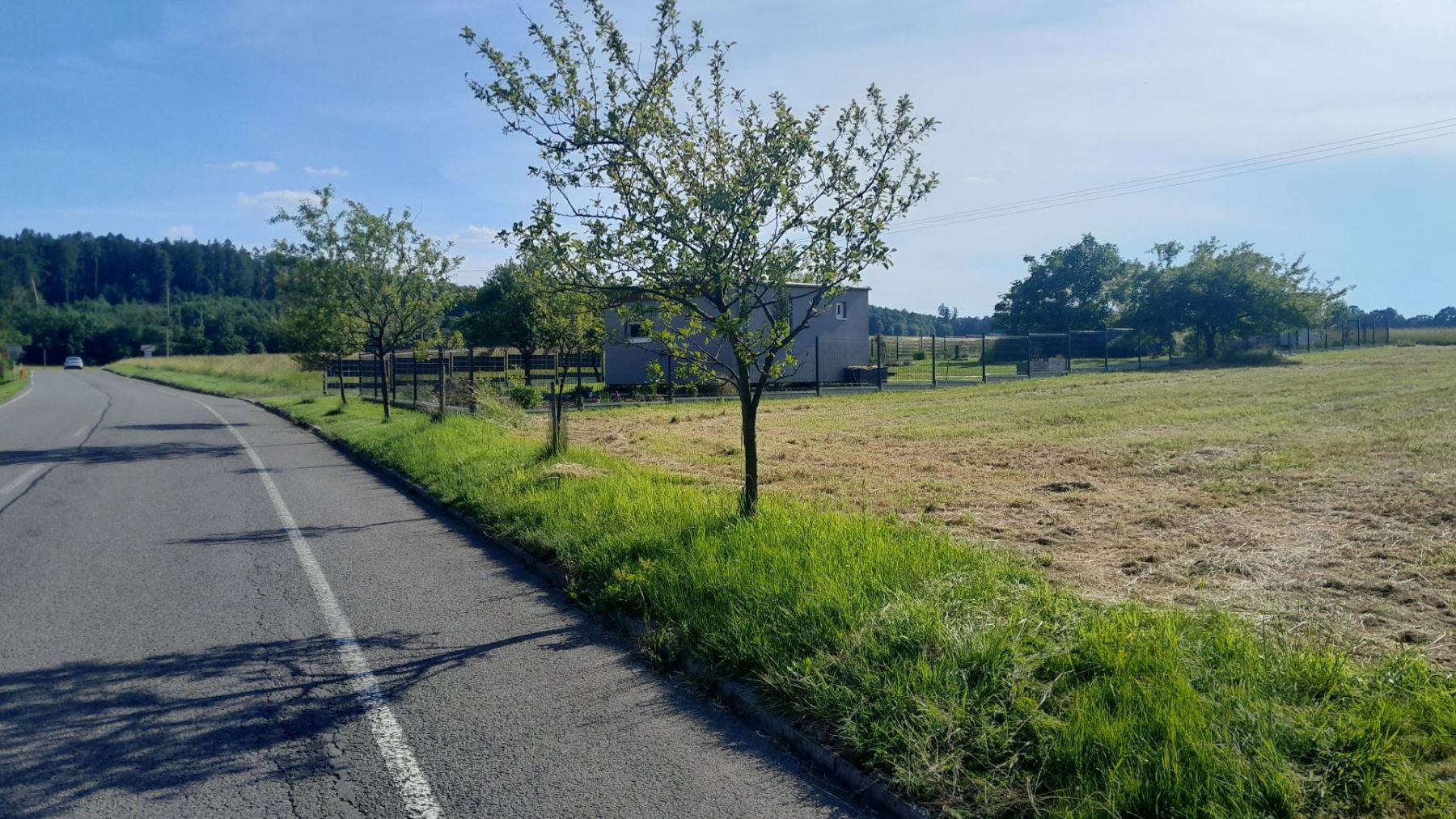 Prodej pozemku 1.229 m²