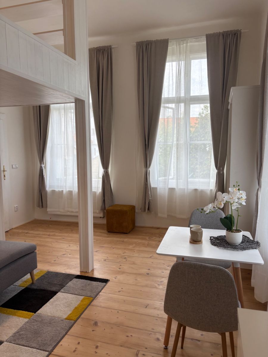 Pronájem bytu 1+1 39 m² — photo 2