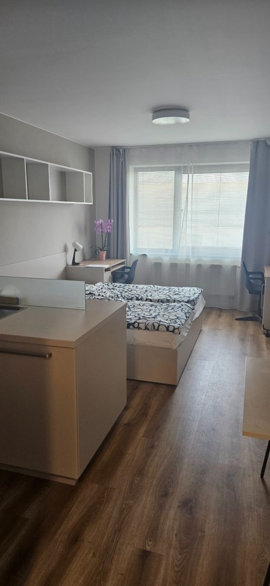 Pronájem bytu 1+kk 40 m² — photo 2