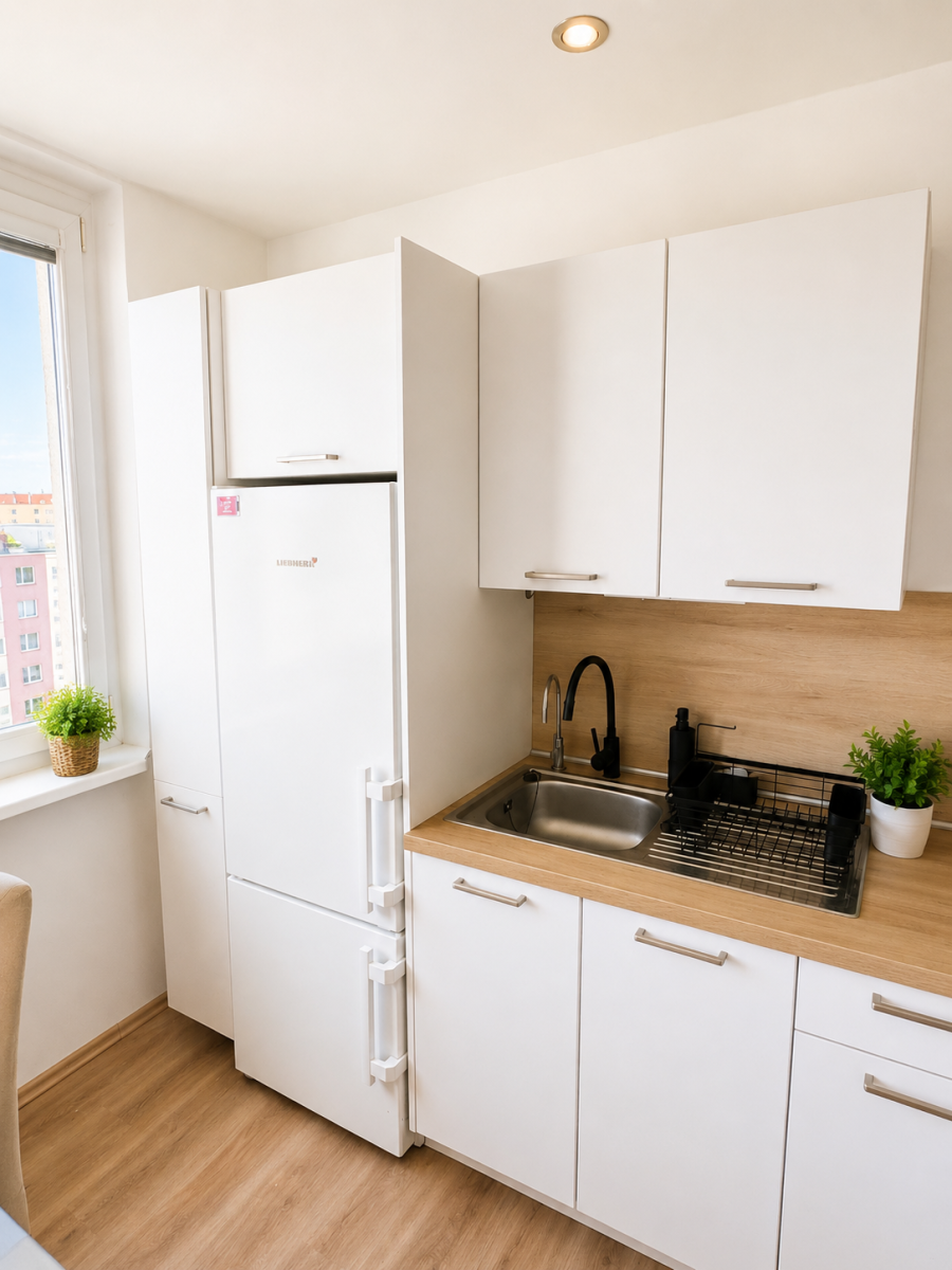 Pronájem bytu 1+1 40 m² — photo 3