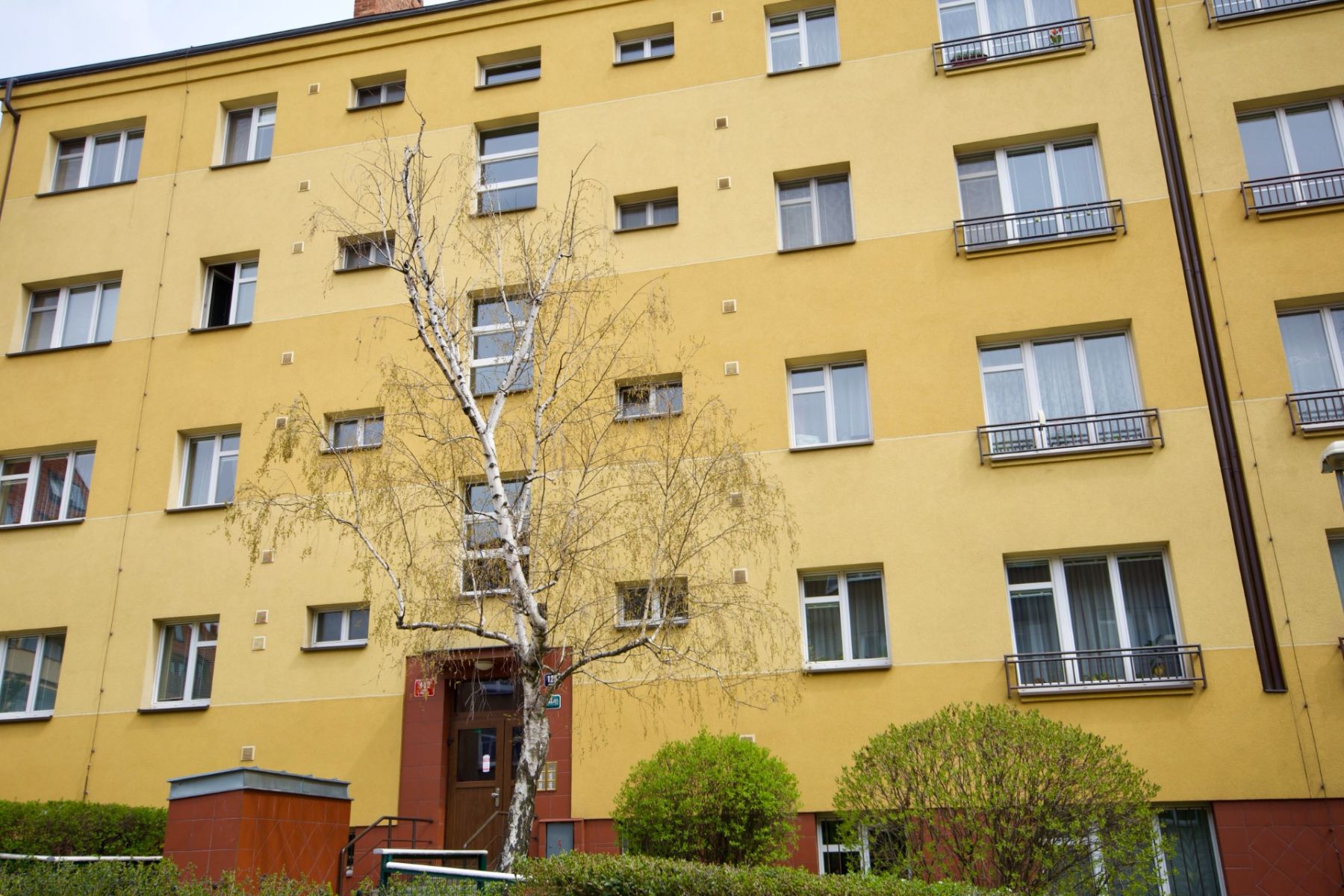 Prodej bytu 1+kk 28 m² — photo 2