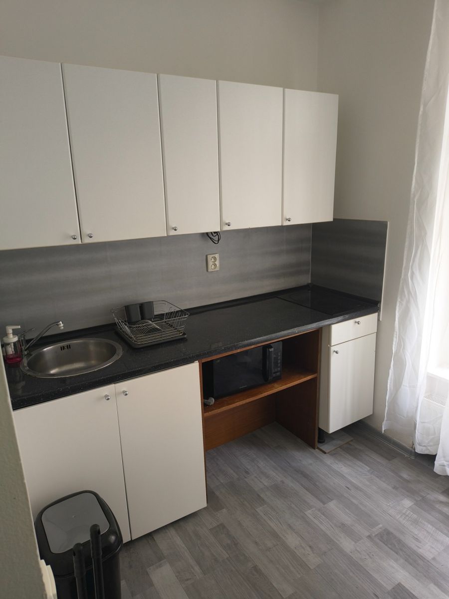 Pronájem bytu 1+1 38 m² — photo 4