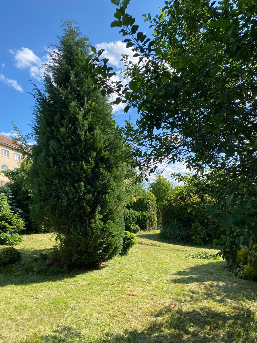 Prodej pozemku 449 m²