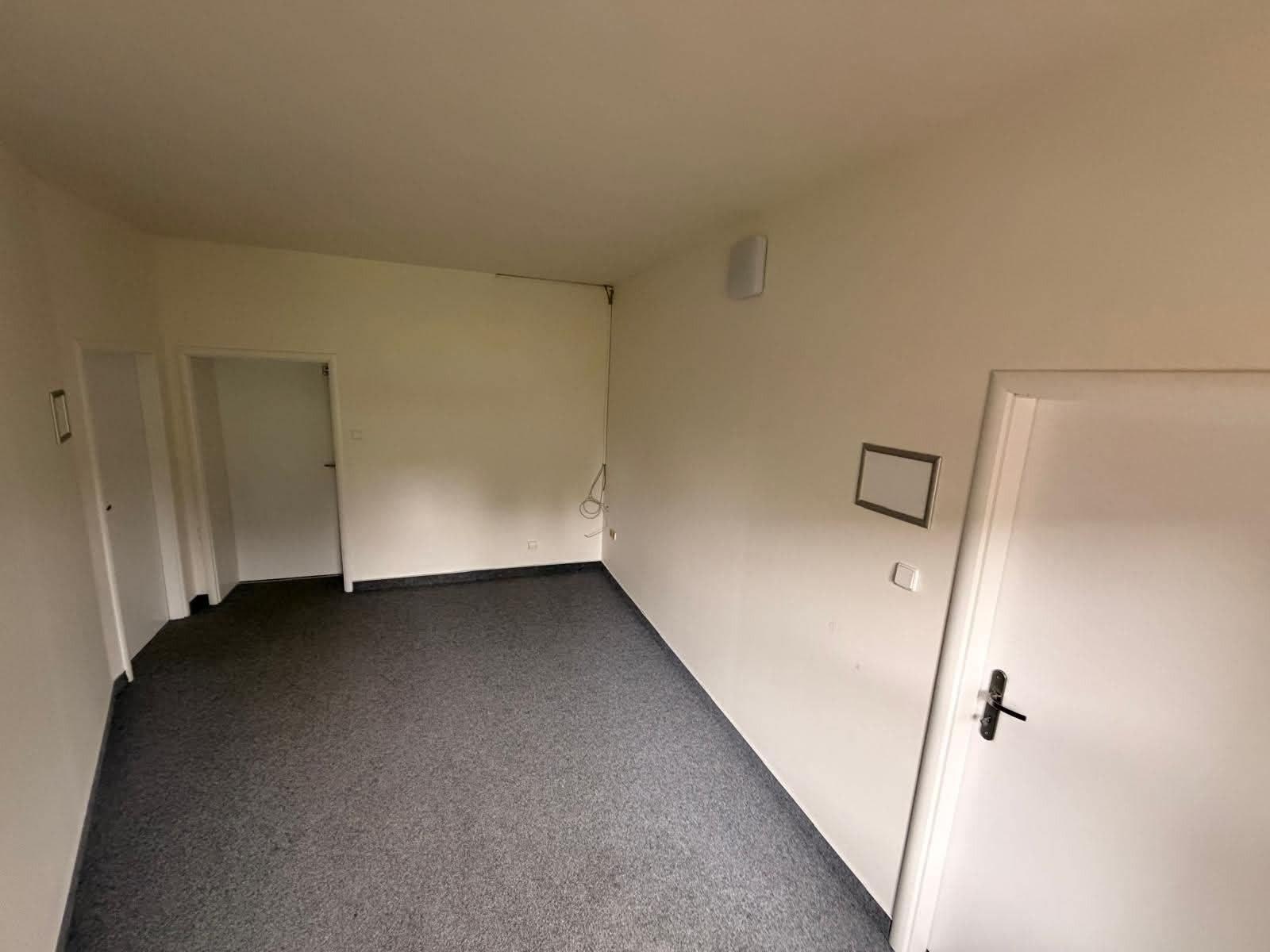Pronájem nebytového prostoru 166 m² — photo 3