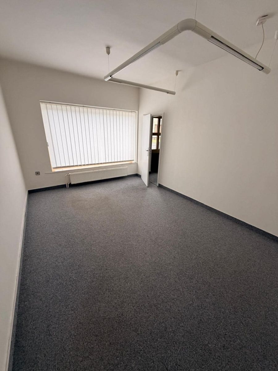 Pronájem nebytového prostoru 166 m² — photo 4