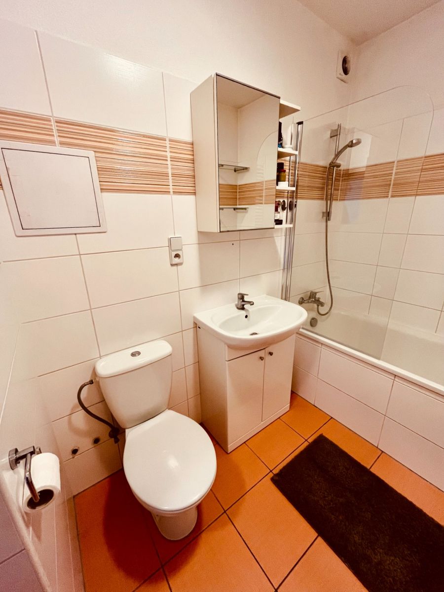 Pronájem bytu 2+kk 46 m² — photo 4